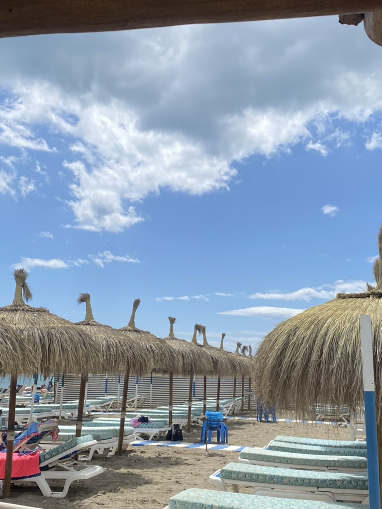 060AABAB-42F4-418B-B819-6E4CCA9D5FE0_1_105_c