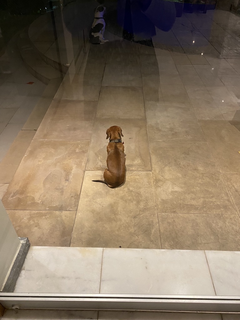 0A416E27-3EEC-4210-AD49-CD6C36315A24_1_105_c