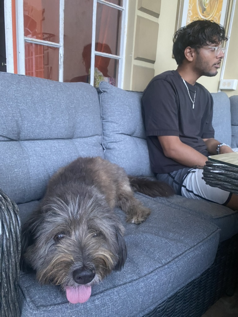 11CD9884-482A-462C-9BD1-6F649A2A0084_1_105_c