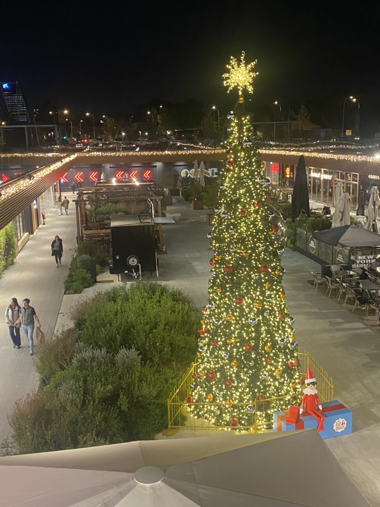 19B22165-05E8-4F68-84E0-1003B108F7F3_1_105_c