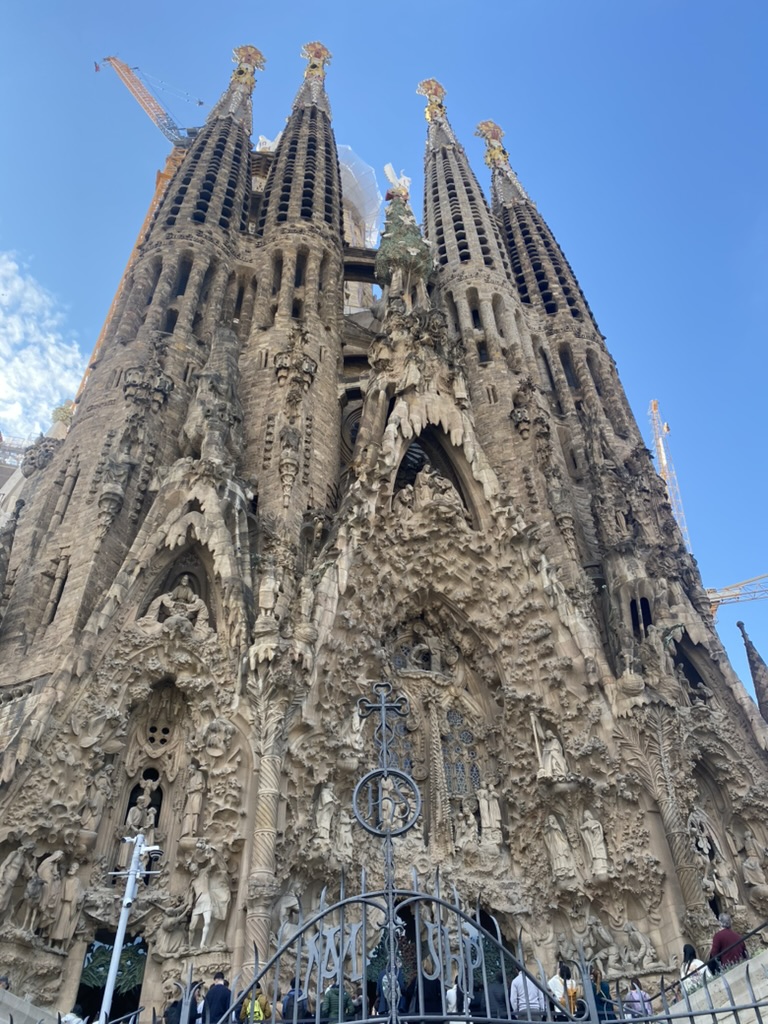 291D5A12-F1F2-4707-B9A9-8AB7A4E65E33_1_105_c