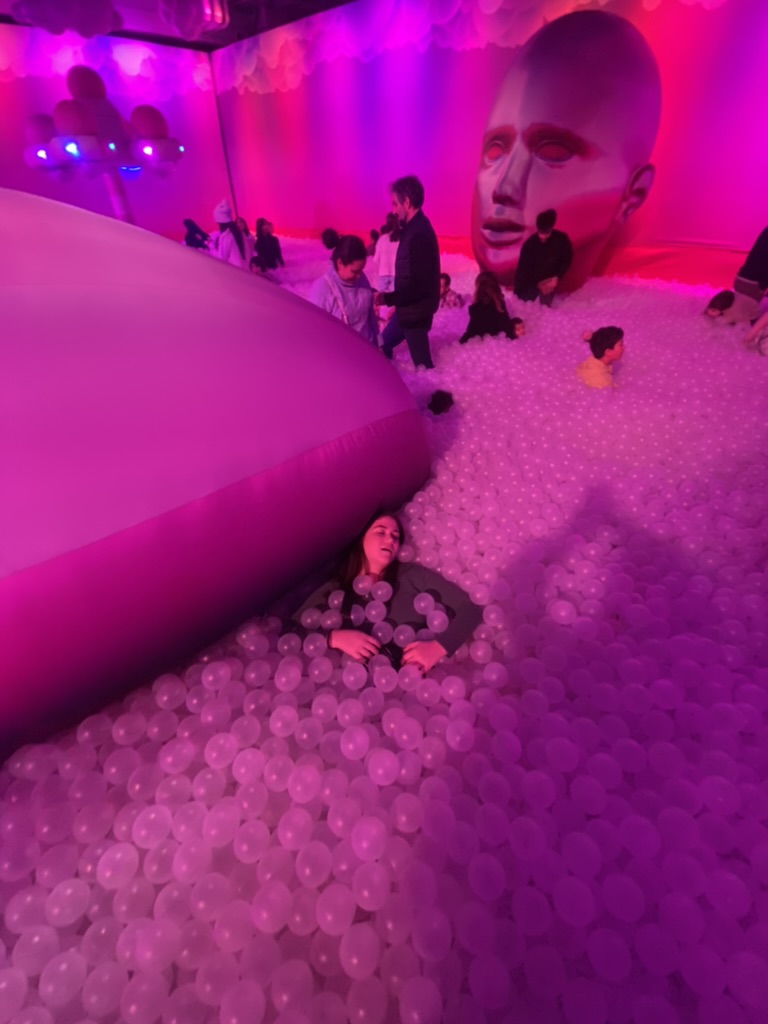 41757945-C591-4460-9A77-0F447D910489_1_105_c