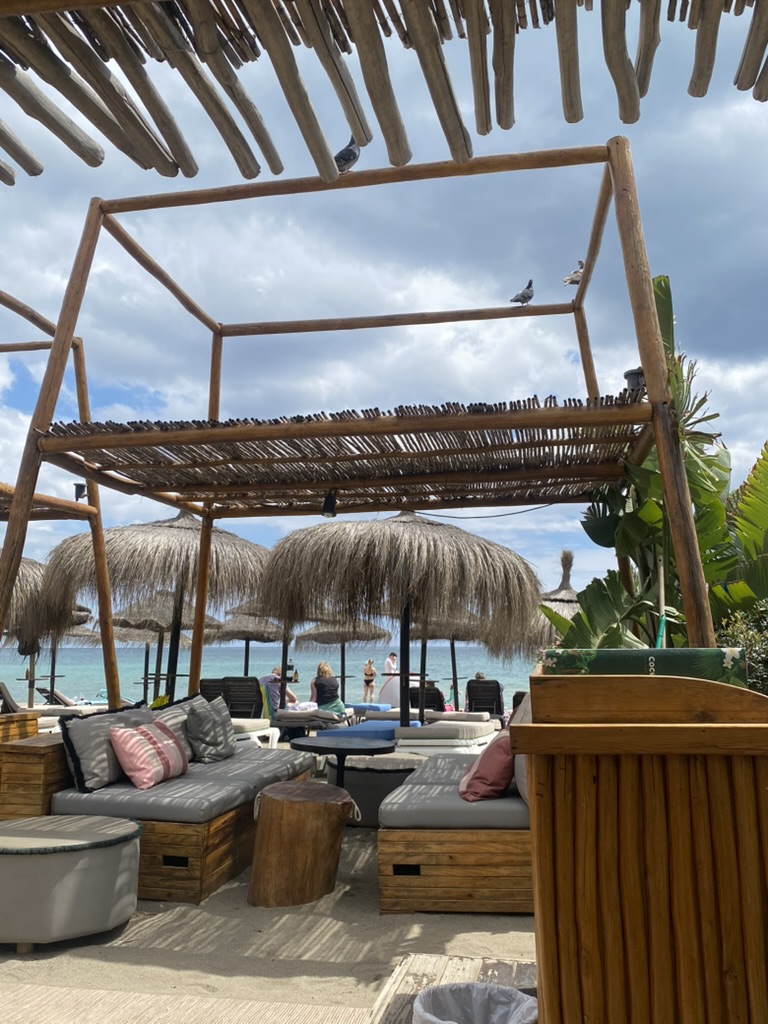 43B75284-CE29-40DB-86F1-64F48DC7AA93_1_105_c