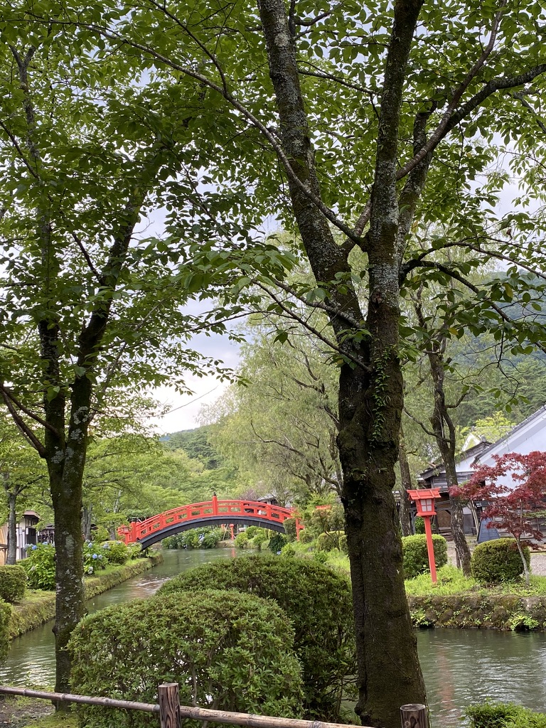 43C9163D-2394-4EA4-B742-7B6BEBC3EE37_1_105_c