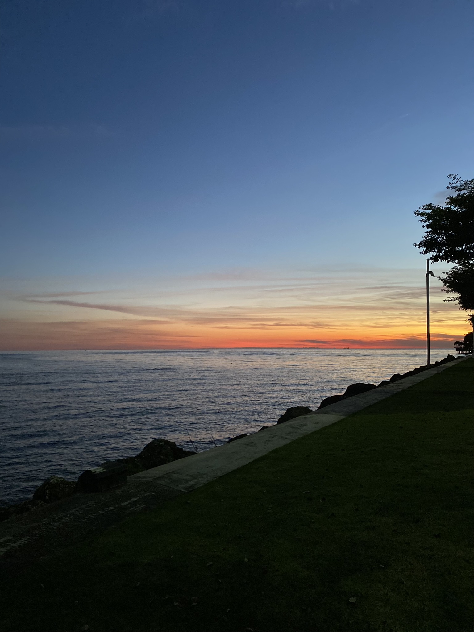 6545DBAC-079A-43E5-980A-E4C784062F39_1_102_a