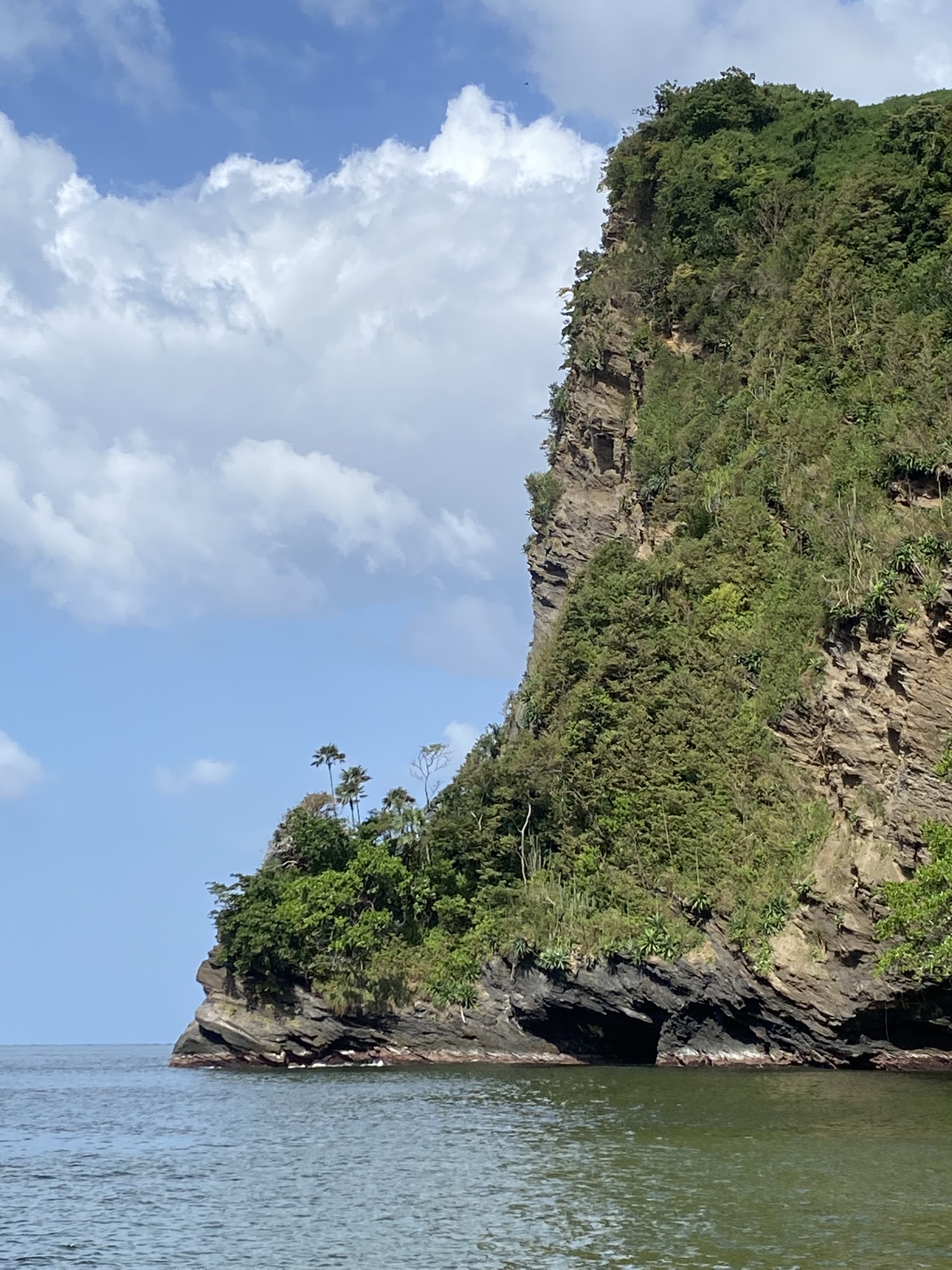 6A29ADBB-EA6F-4D04-BC85-E4E753D9133D_1_102_o