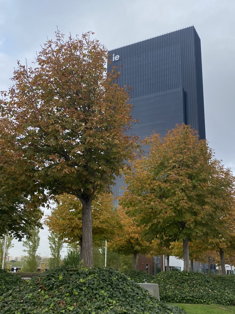 740F56EE-3984-4179-8AE2-ED03A89305E6_1_105_c