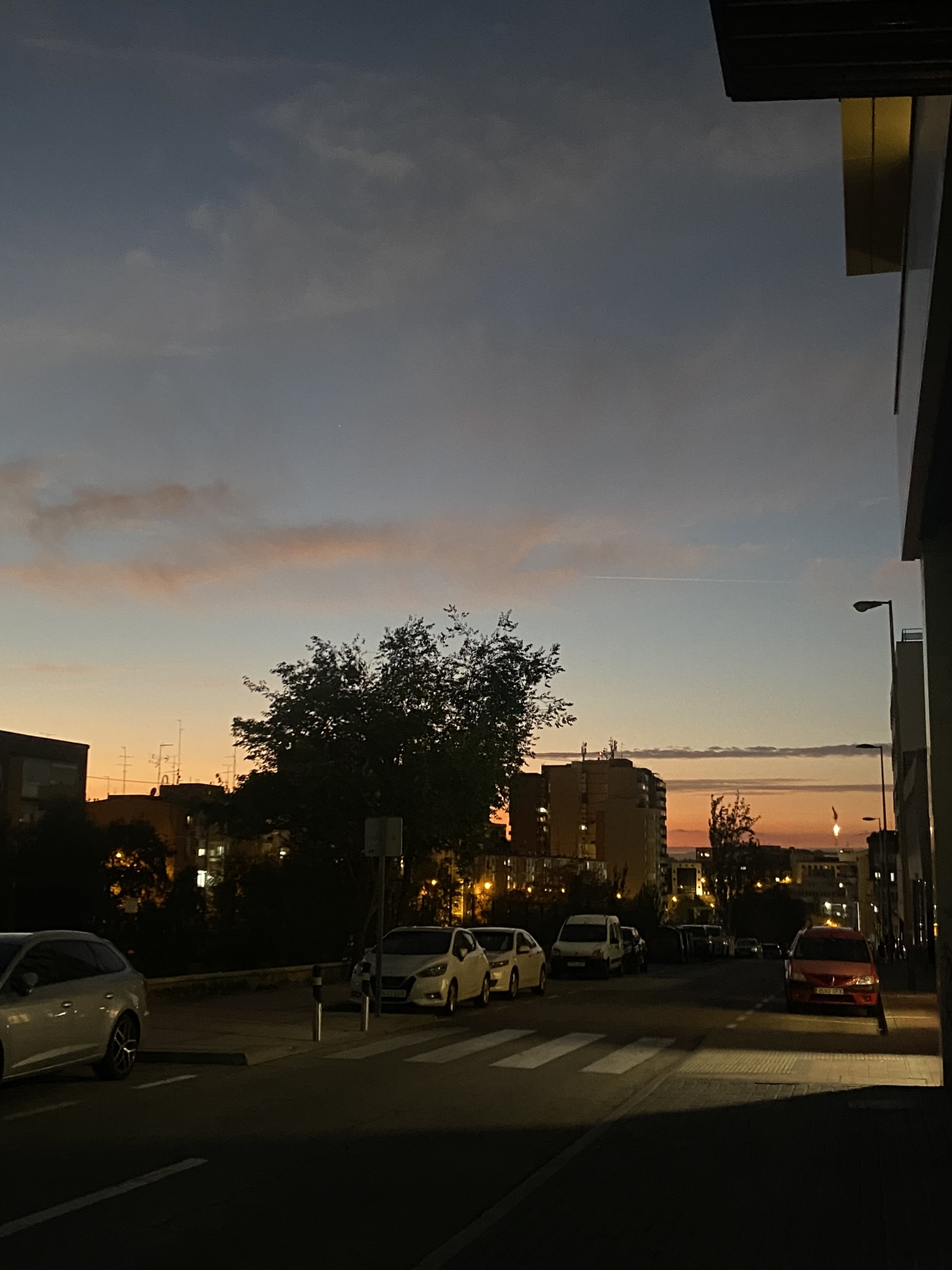 78A11C1D-730B-4340-BF13-6220853F2001_1_102_o