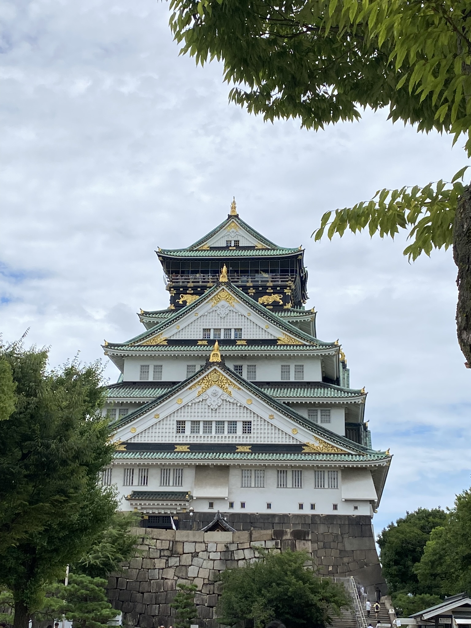 D3629E42-E733-45CA-88ED-2B22B02A36EC_1_102_o