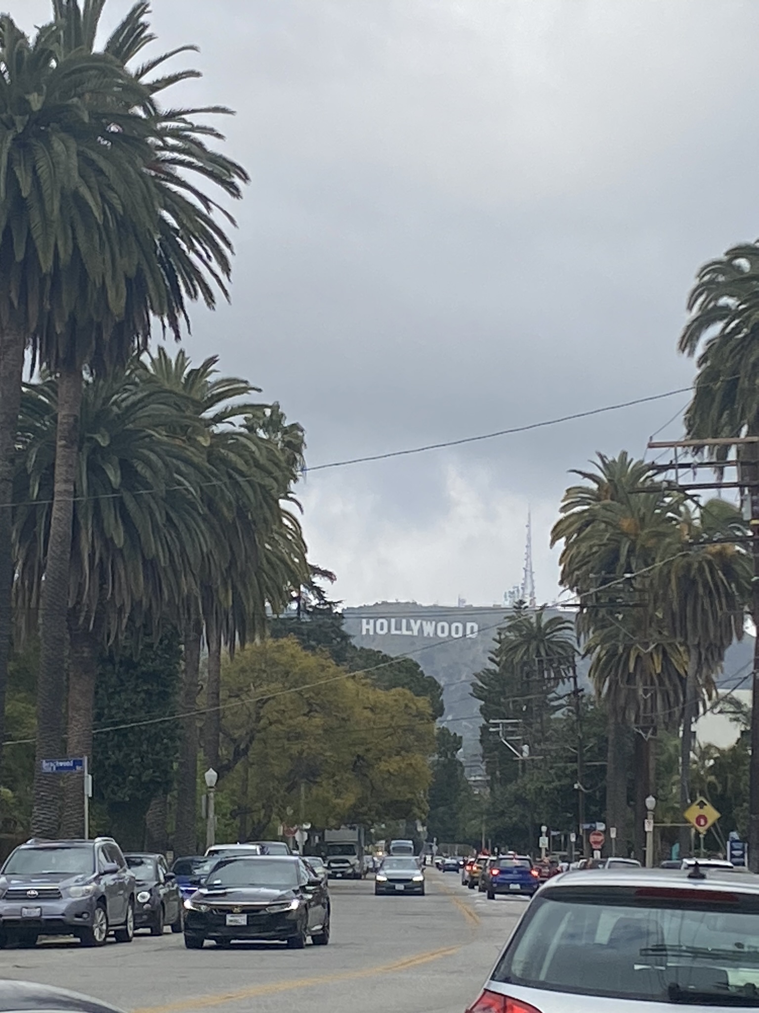 E5FA3D53-E013-4078-85C5-6C69D73477A7_1_102_o