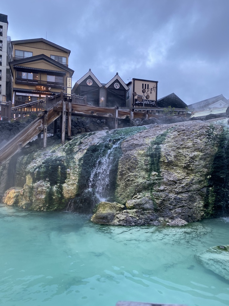 F5E49C12-B766-4FF1-8232-CA5A533A69CD_1_105_c